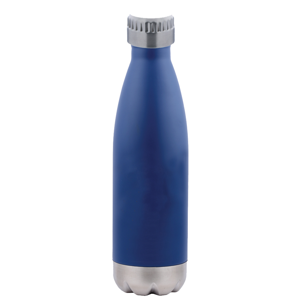 Stainless Steel Bottle