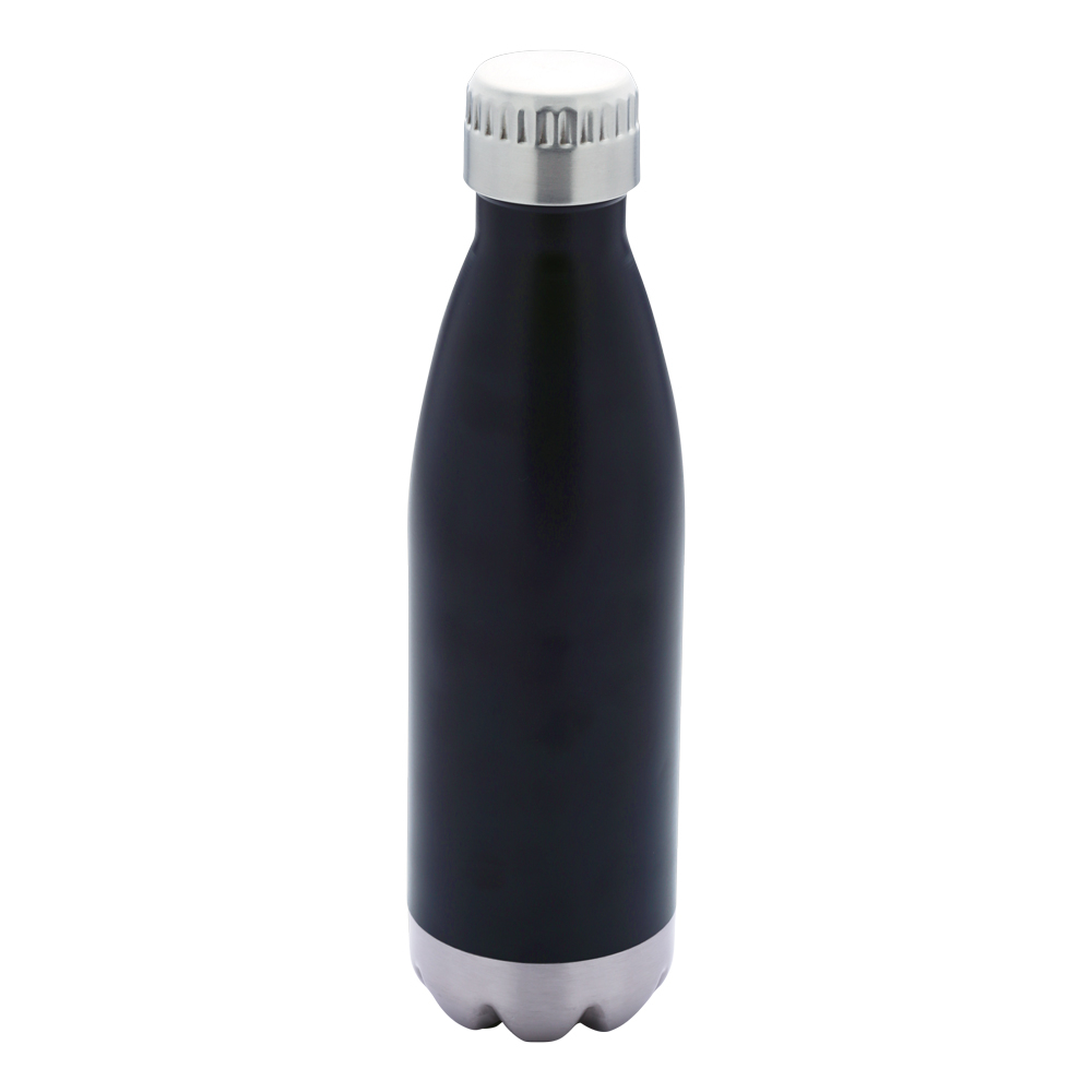 Stainless Steel Bottle