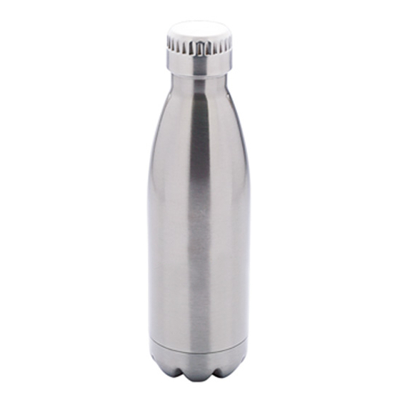 Stainless Steel Bottle